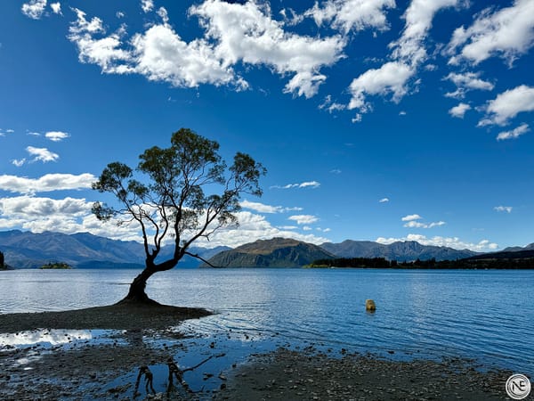 【紐西蘭南島】Wānaka × Mt. Cook
